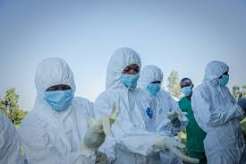 DR Congo Ebola Outbreak Far From Being Under Control, WHO Warns