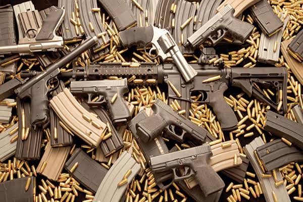 FG Plans New Survey on Illicit Arms