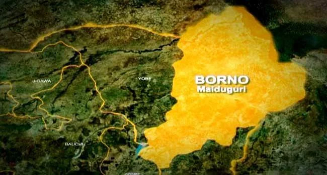 Borno Abductions: Parents Fear for Children’s Lives Nearly 100 Days in Captivity