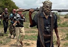 Gunmen Abduct Worshippers After Mosque Invasions in Niger