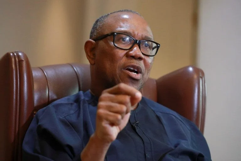 Mismanagement of Subsidy Proceeds Not Reason to Reverse Removal — Obi