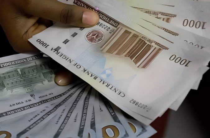 N600bn Disbursed to 10m Households Under Cash Transfer Scheme — FG