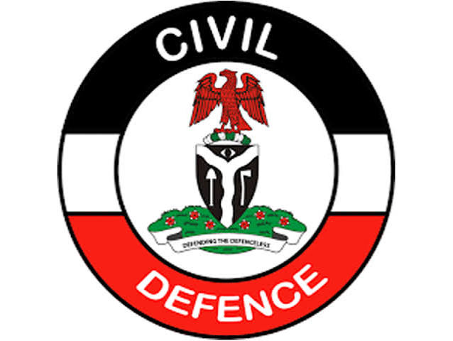 Investor Asks Tinubu, Alake, Tunji-Ojo To Probe NSCDC Over Shutdown