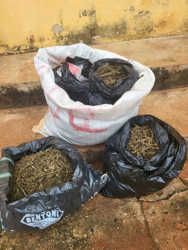 Police Nab Suspected Drug Dealer With ₦5.8m Haul In Anambra