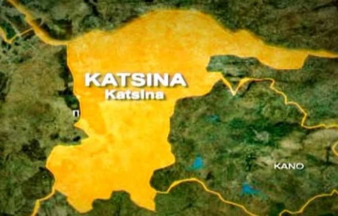 Diphtheria Outbreak Spreads to 29 Katsina LGAs as Kano Confirms Two More Deaths