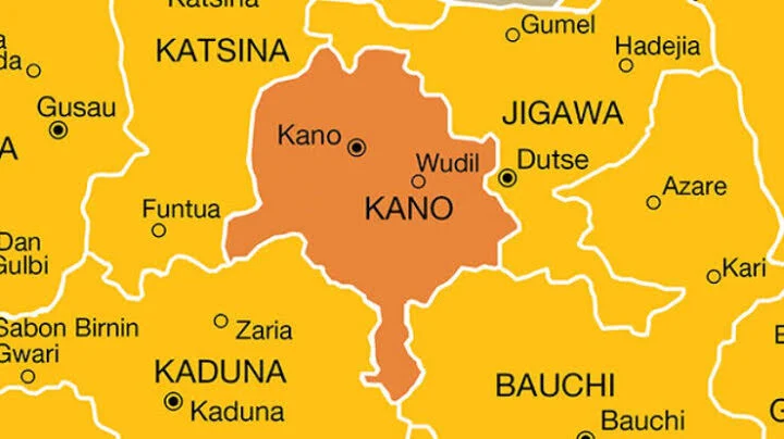 Kano Sets Up Committee To Tackle Diphtheria Outbreak