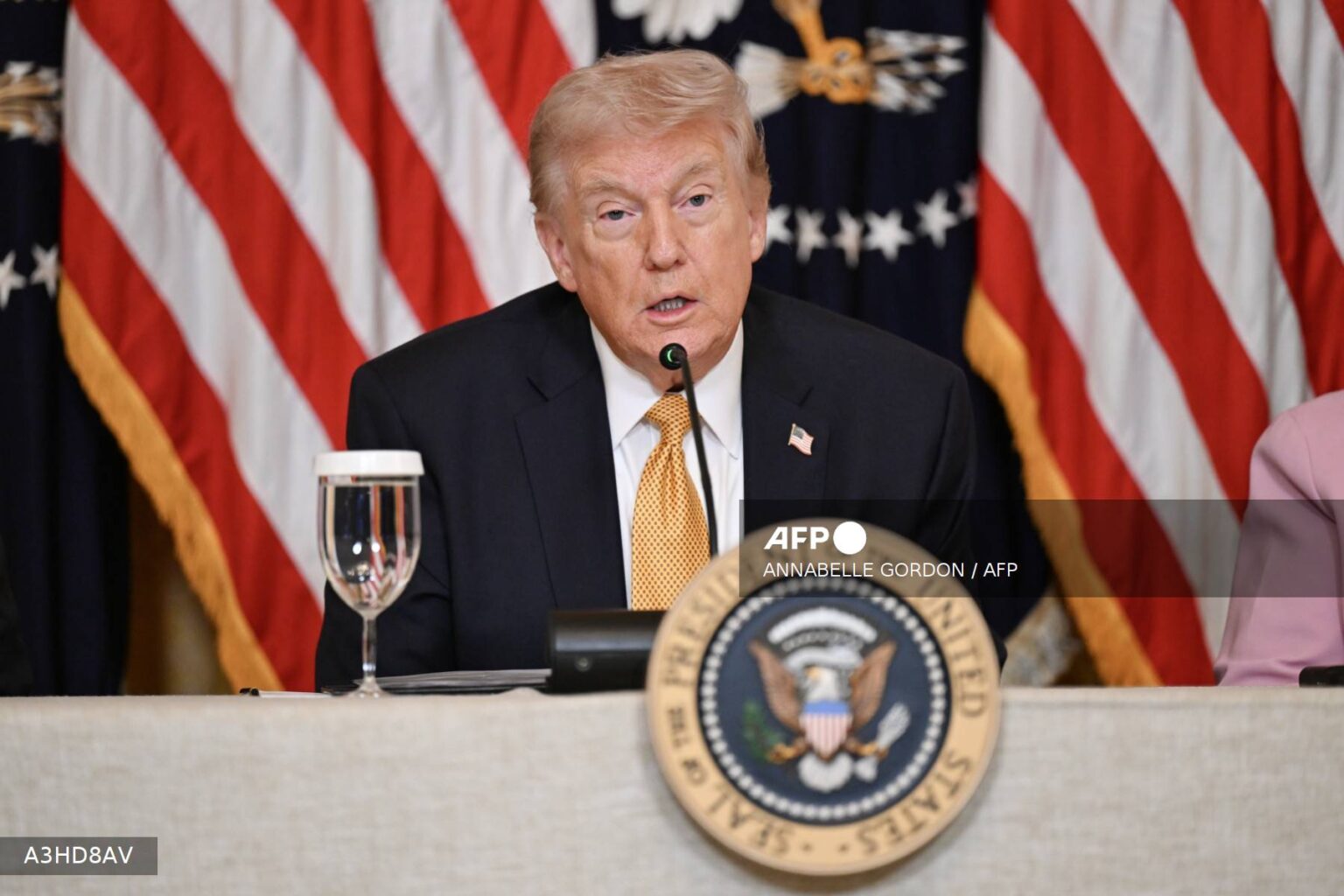 Trump Suggests Renaming New Mexico State ‘New America’