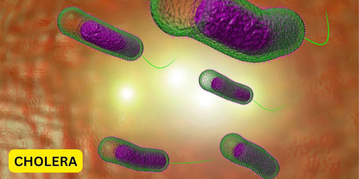 Cholera Scare: FCT Agency Warns Against Open Defecation as Rainy Season Heightens Outbreak Risk
