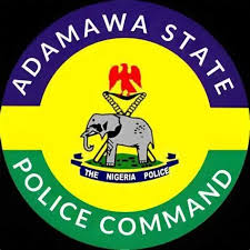 Police Arraign 87-Year-Old Man Over Attempted Murder of Adamawa Judge