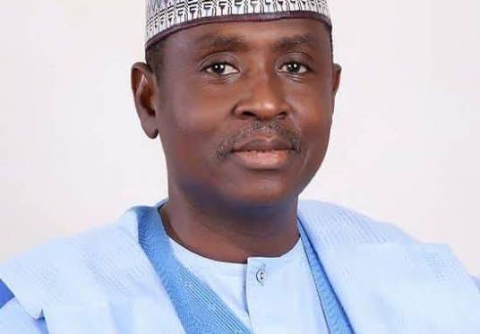 Gwarzo Condemns Killing of Kano Political Commentator
