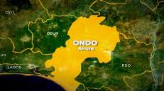 Ondo Bans Sale of Unverified Alcohol After 30 Die from Monkey Tail