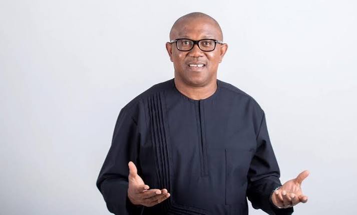 Obi’s Credentials Under Probe as LP Chieftain Sues WAEC, UNN, NYSC