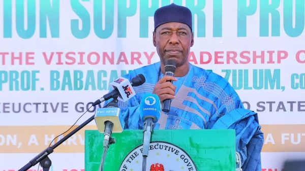 Zulum: After Tinubu, Presidency Will Return to North