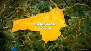 Diphtheria Crisis in Zamfara: 44 Dead, Over 300 Treated as State Extends School Closure