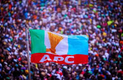 Osoba, Daniel, Abiodun to Lead Ogun APC Campaign
