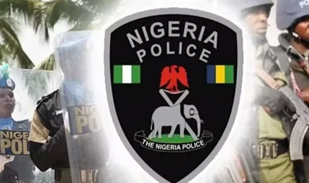 Suspected Herders Ambush Benue DPO, Kill Two Policemen