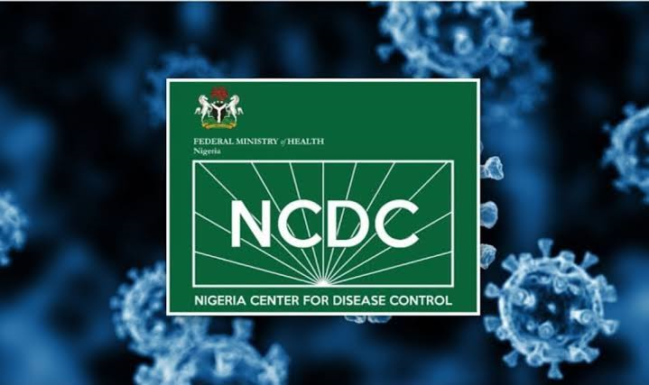 NCDC Warns States: Prepare Now or Face Lassa Fever Surge