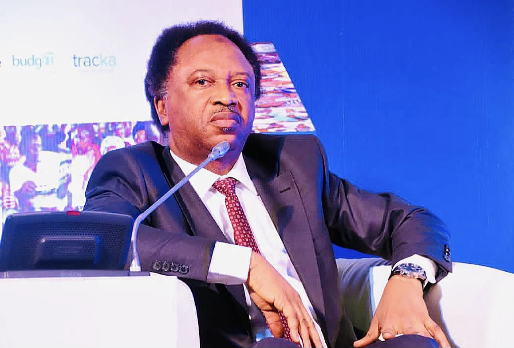 Niger Miners’ Deaths: Shehu Sani Warns of Overcrowded Cell Dangers
