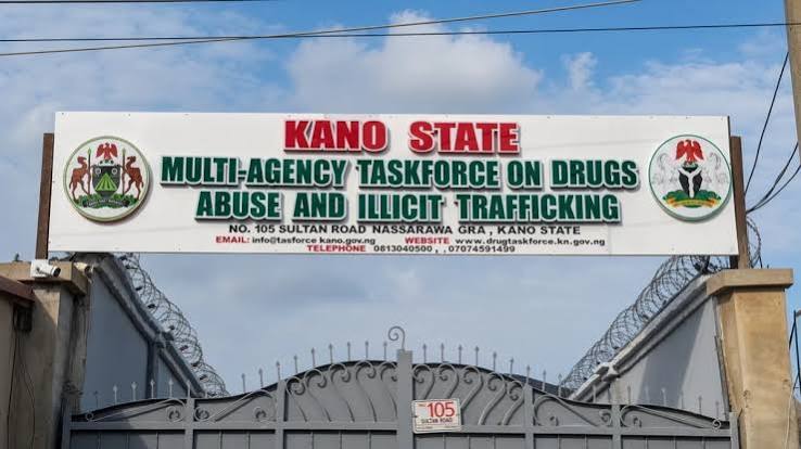 Kano to Rehabilitate 10,000 Drug Abusers