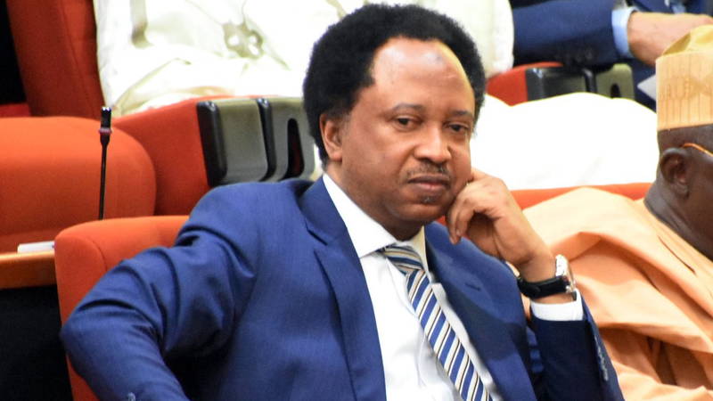 El-Rufai Paying Price of Irresponsible Leadership as Kaduna Gov — Shehu Sani