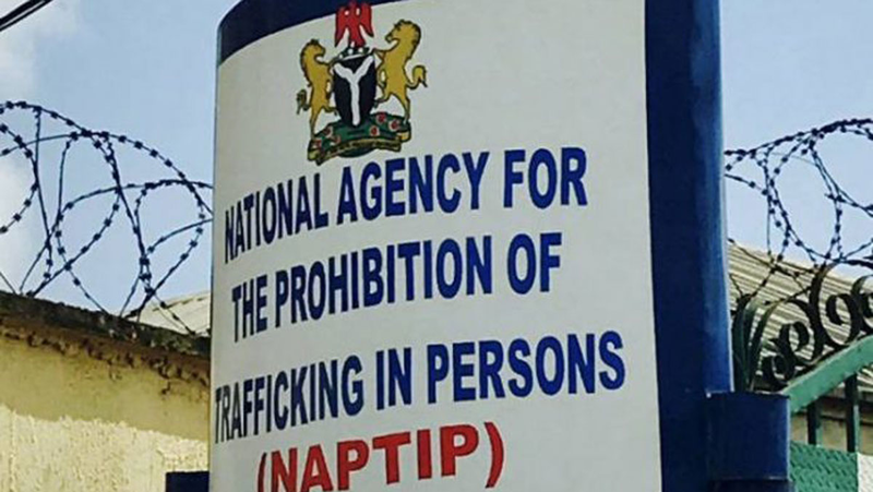 NAPTIP Uncovers Suspected Baby Trafficking Ring In Cross River