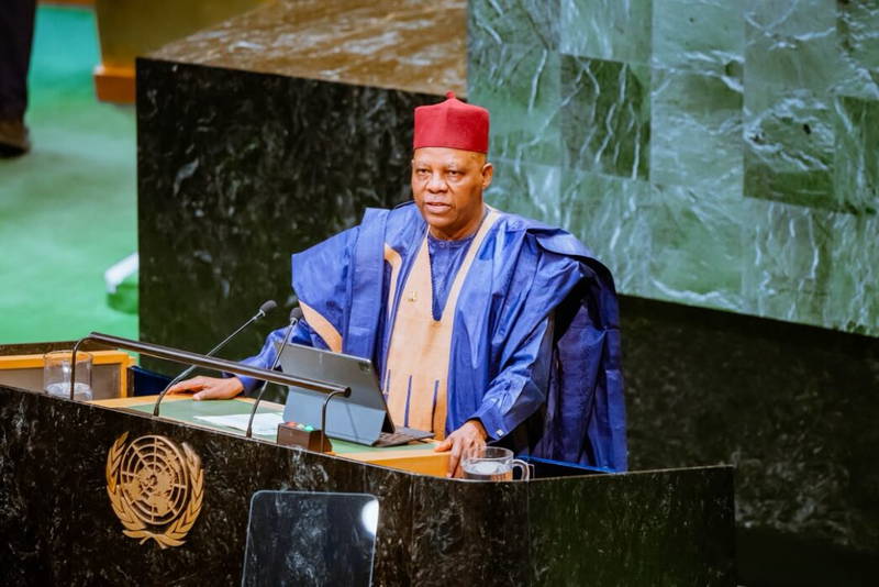 Nigeria’ll Back UN Candidate Who Believes In Africa’s Aspirations — Shettima