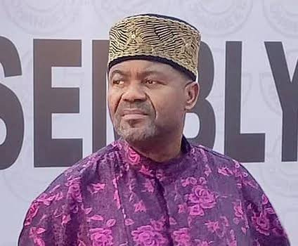 Igbo Brilliance Not Yet Translated to Collective Growth, Ohanaeze Says