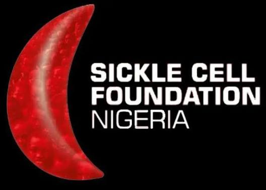 Nigeria Must Drive Home-Grown Sickle Cell Solutions, Foundation Tells UN