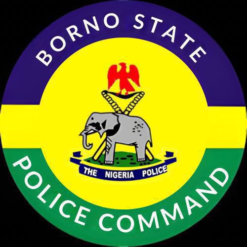 Why Five Men With ‘Tinubu Must Go’ T-Shirts Were Arrested — Police