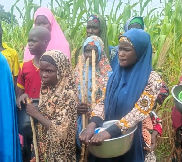 Katsina Traditional Rulers Commend Security Forces for Foiling Mass Abduction