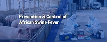 FG Launches African Swine Fever Control Campaign in Southwest
