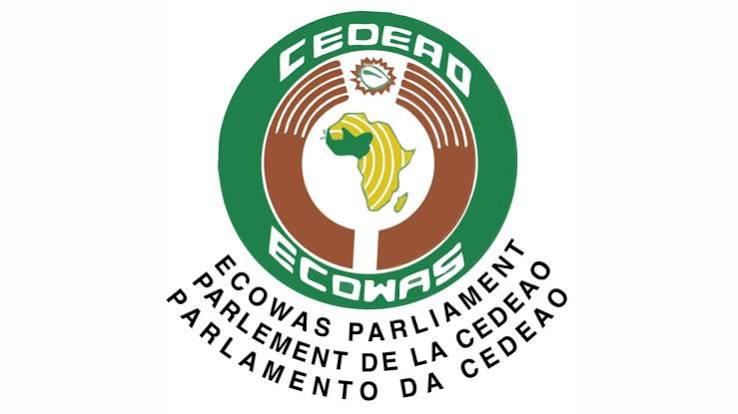 ECOWAS to Deploy Youth Observers for Nigeria’s 2027 Election