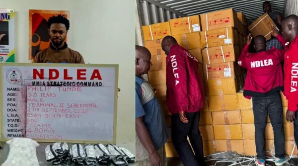 NDLEA Intercepts N5bn Drugs at Ports, Arrests Milan-Bound Businessman
