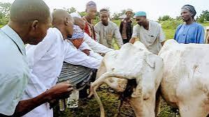 Gombe Launches Livestock Vaccination Against Major Diseases
