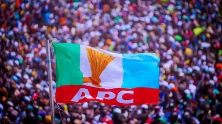 Ondo APC Women Leader Faces Suspension Over Disputed Candidates