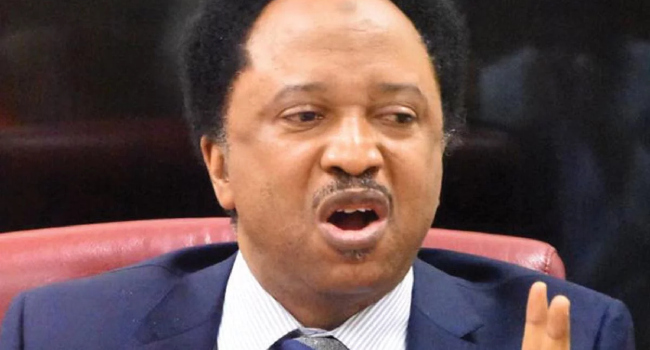 INEC List: ‘Stop Fighting a Lost Battle’ — Shehu Sani Tells Omitted Candidates