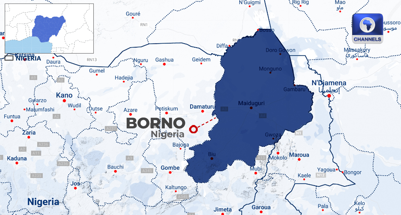 Over 40 ISWAP Terrorists Killed in Fresh Borno Air Strikes — Military
