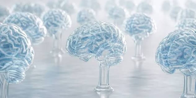 Dementia Crisis: Global New Cases to Hit 24.7 Million Annually by 2050