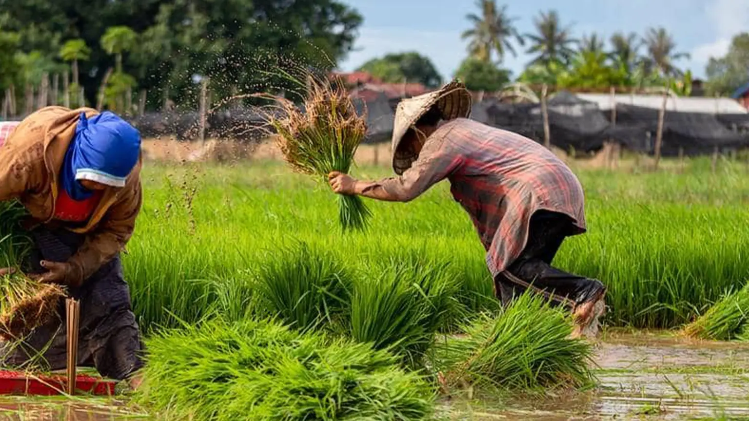 World Food Day: Rising Poverty, Food Insecurity Push More Nigerians to the Brink