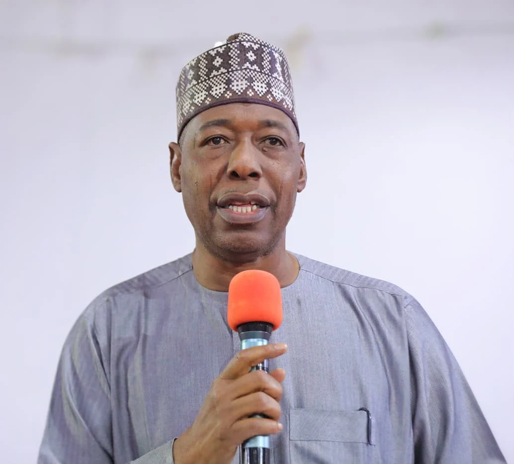 Scavengers Stole Wires from N3bn Power Line — Zulum