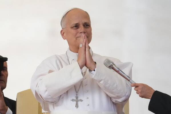 Pope Leo XIV Requires No Further Treatment for Lung Cancer, Vatican Says