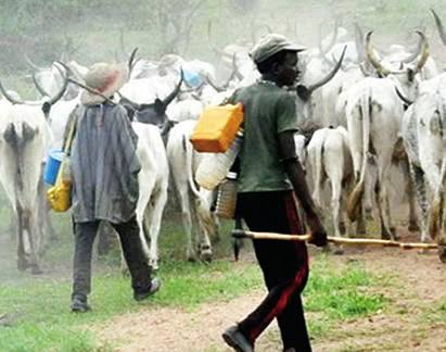 Fulani Leaders Seek Ranches, 30% of Agricultural Budget for Livestock Ministry