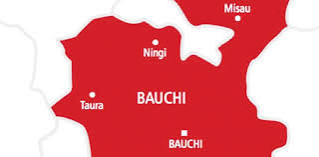 Bauchi Police Arrest Stepmother, 19-Year-Old Over Deaths of Two Children