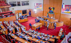 Lagos Assembly Backs State Police, Seeks Clear Division of Powers