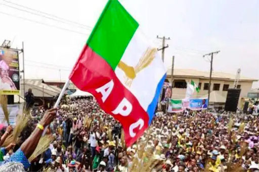 APC Senate Primaries: Daniel, Amosun, Rochas Crash as Abiodun, Uzodimma, Bello Win