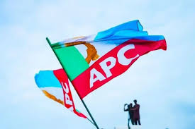 APC Faces Internal Revolt After Primaries as Lagos Power Struggles Deepen