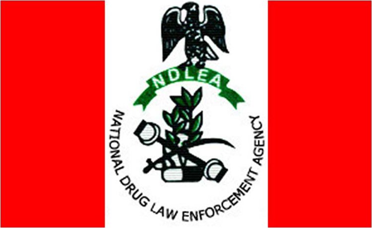NDLEA Re-Arrests Drug Suspect Who Faked His Death