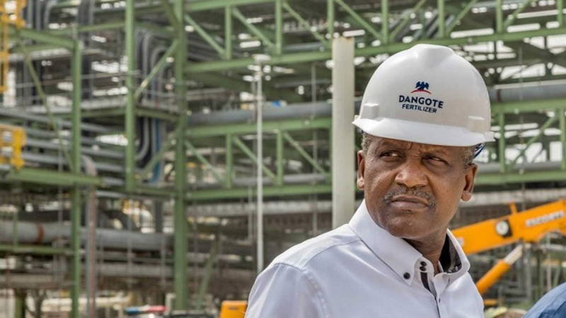Fertiliser Plants: Dangote Vows To Ensure Food Security In Africa