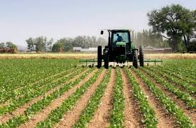 Need to Move from Small-Scale to Large-Scale Commercial Agriculture in Nigeria