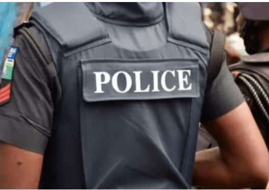 Police Neutralise Two Suspected Kidnappers, Arrest Kingpin in Ogun
